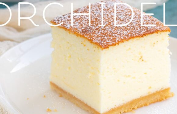 Przepis na sernik z mlekiem i olejem – sprawdzony przepis