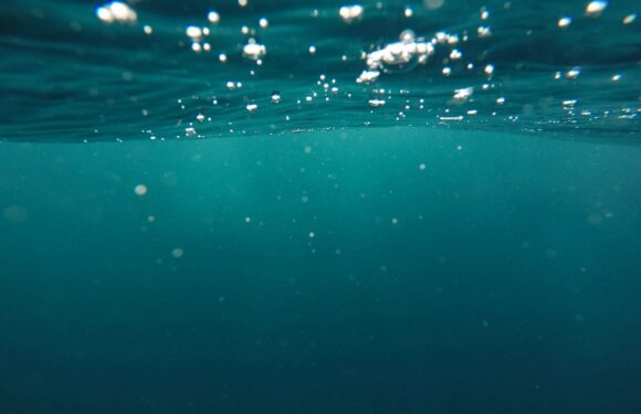 Sen o wodzie – znaczenia – sennik