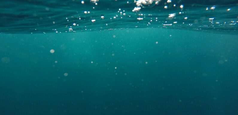 Sen o wodzie – znaczenia – sennik