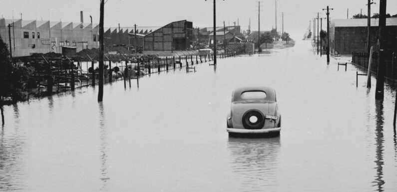Sen o powodzi – najważniejsze znaczenia