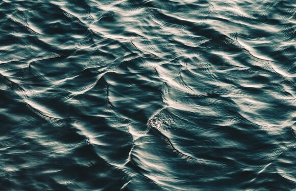 Sen o brudnej wodzie – sennik